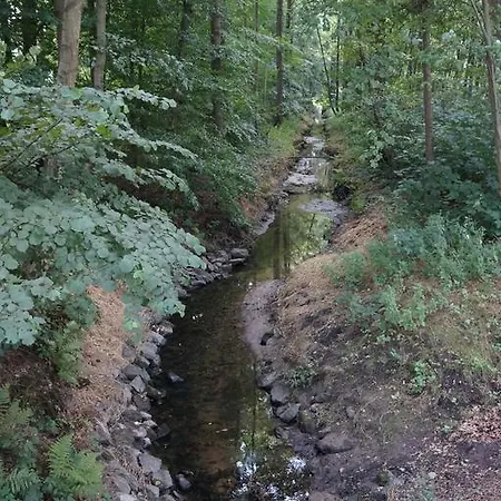 Haagedoernchen *