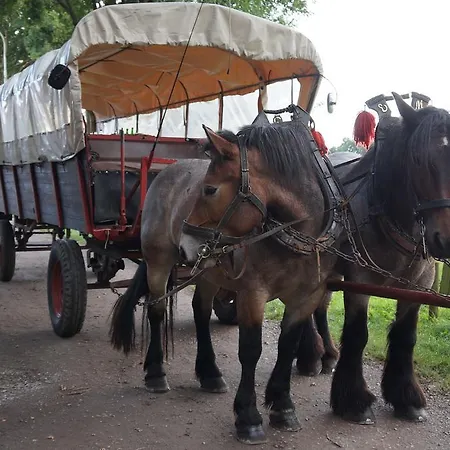 Haagedoernchen Apartmán