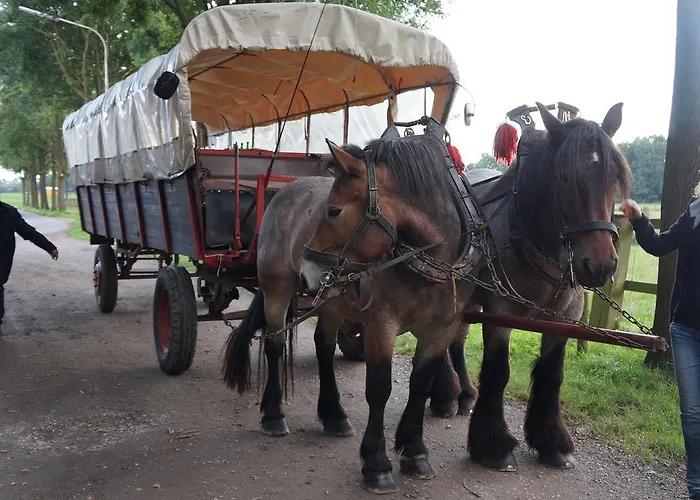 Haagedoernchen Lejlighed